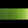 VERT DE VESSIE