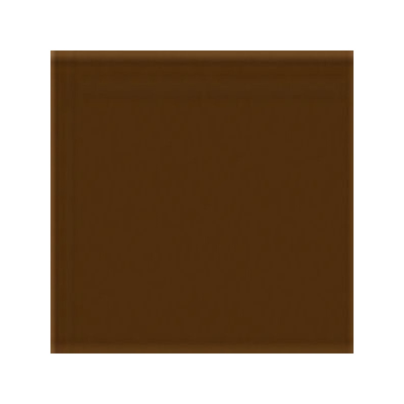 TERRE D OMBRE NATURELLE 308
