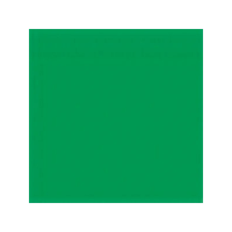 VERT PERMANENT 409