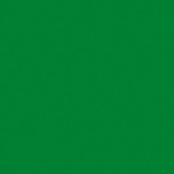 TON VERT DE VESSIE
