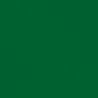 VERT DE HOOKER