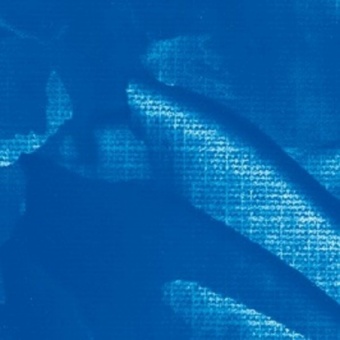 BLEU FLUO