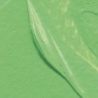 VERT CLAIR