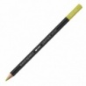 JAUNE OLIVE
