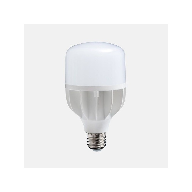 AMPOULE LED LUMIERE DU JOUR 18 W