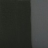 NOIR INTENSE