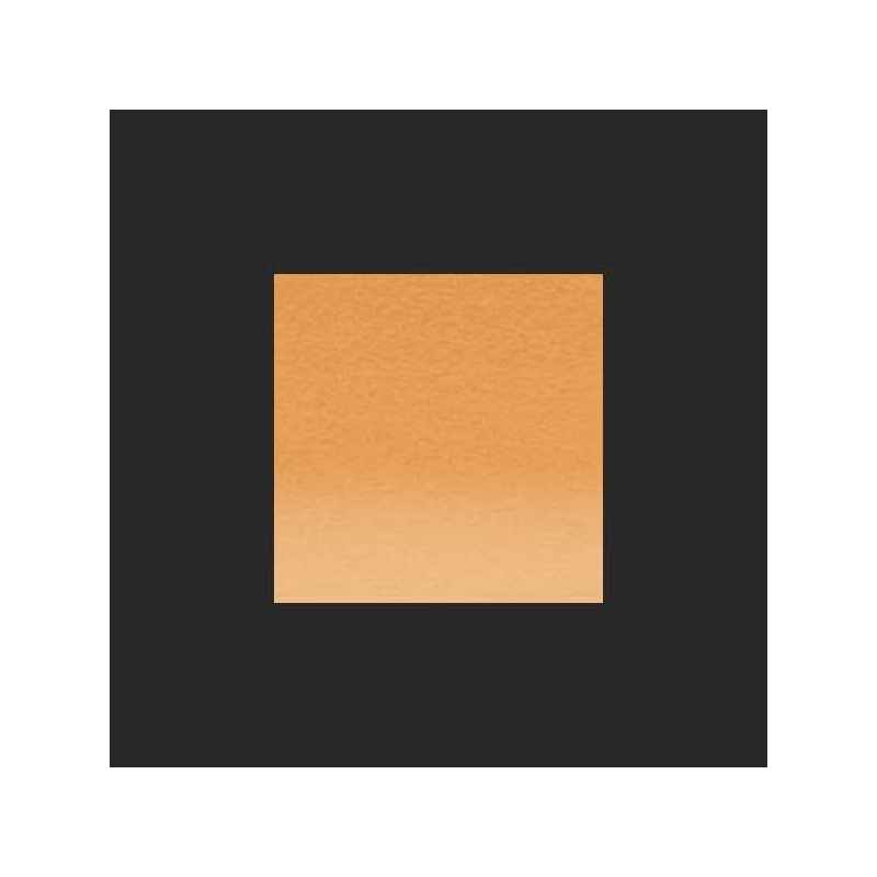 ORANGE BRULE