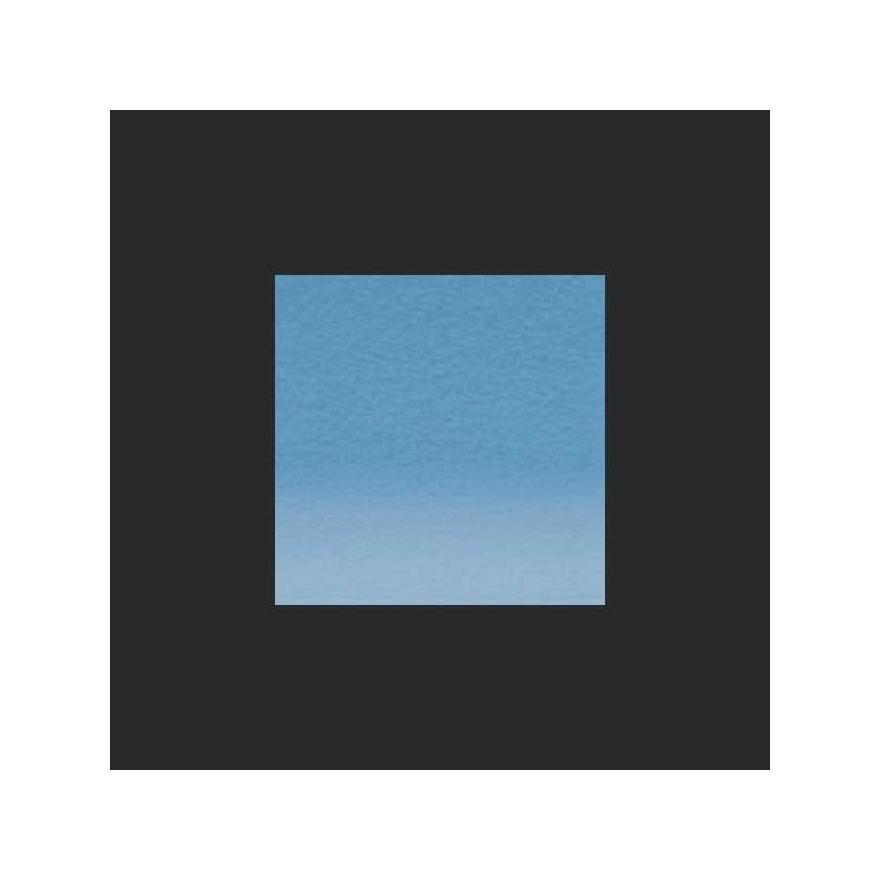BLEUET