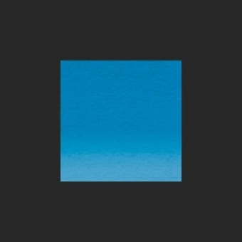 BLEU MARTIN PECHEUR