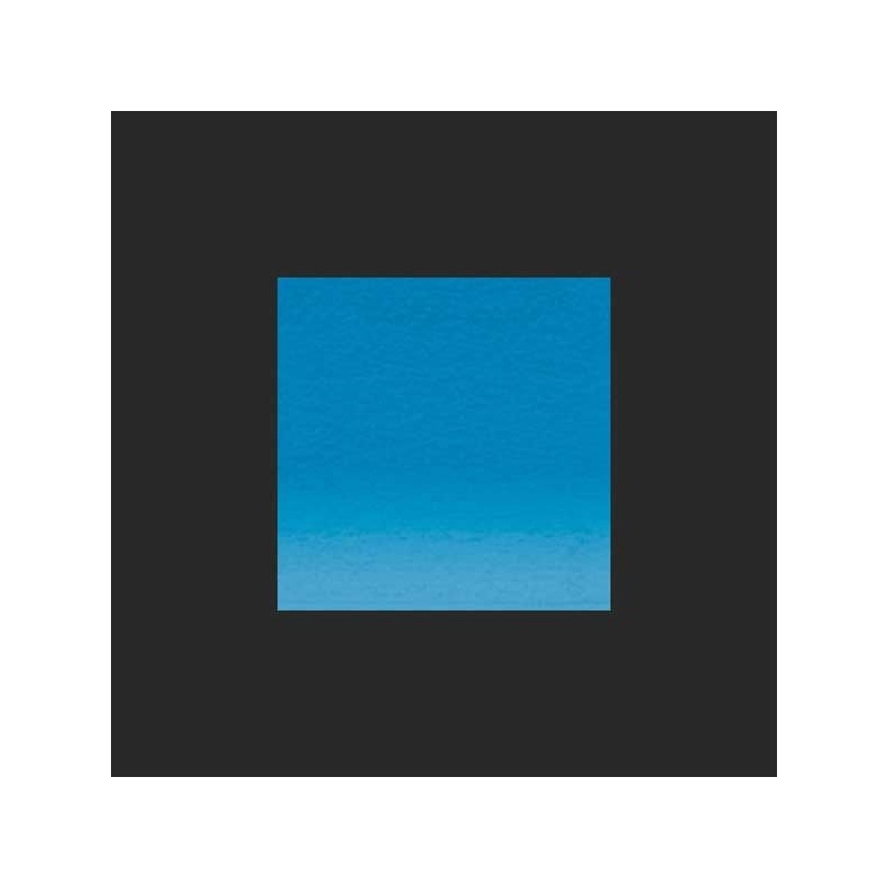 BLEU MARTIN PECHEUR