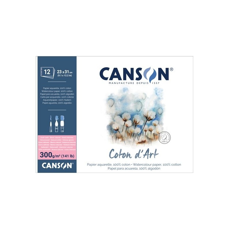 COTON D ART BLOC COLLE 1 COTE 12 FEUILLES 300 G GRAIN SATIN