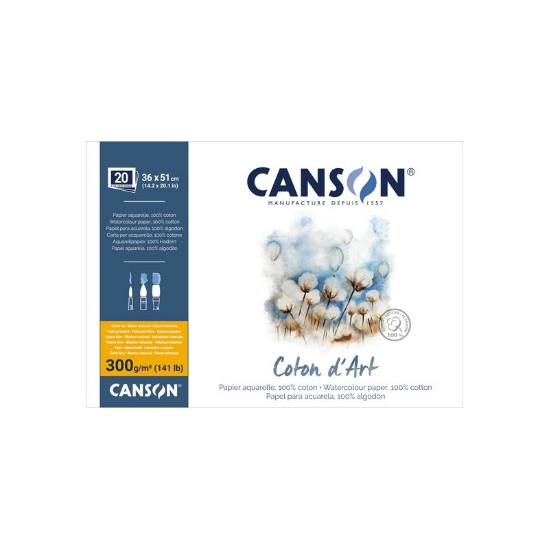 COTON D ART BLOC COLLE 4 COTES 20 FEUILLES 300 G GRAIN FIN