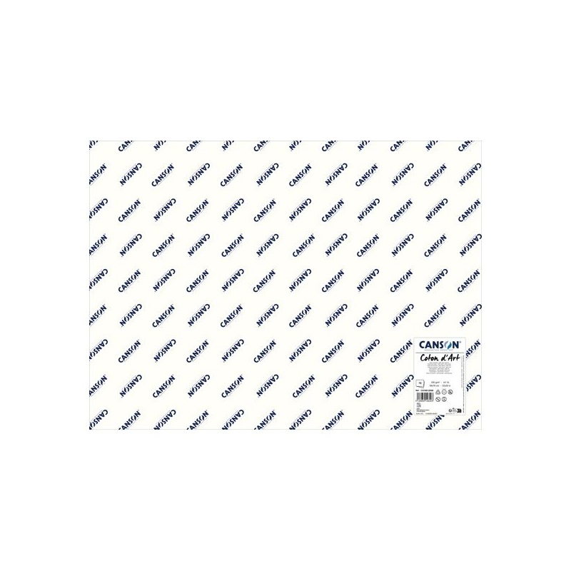 COTON D ART FEUILLE 56 X 76 CM 300 G GRAIN FIN