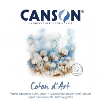 COTON D ART FEUILLE 56 X 76 CM 300 G GRAIN FIN