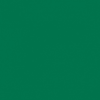 VERT PERMANENT FONCE