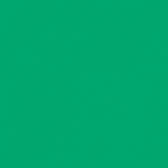 VERT PAUL VERONESE