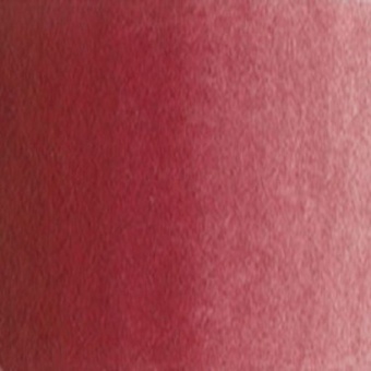 ROUGE WINSOR FONCE