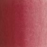 ROUGE WINSOR FONCE