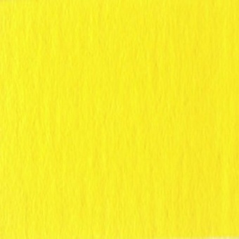JAUNE TURNER