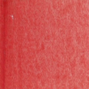 ROSE DORE