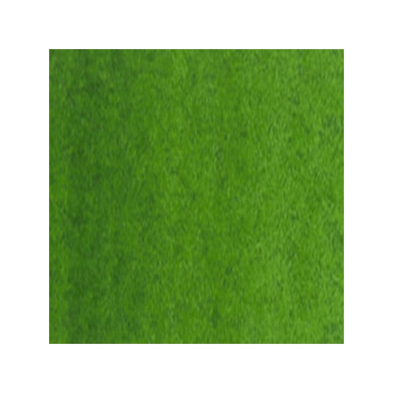 VERT DE VESSIE PERMANENT