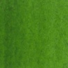 VERT DE VESSIE PERMANENT