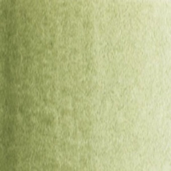 TERRE VERTE NUANCE JAUNE