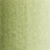 TERRE VERTE NUANCE JAUNE