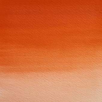 ORANGE DE FIELD