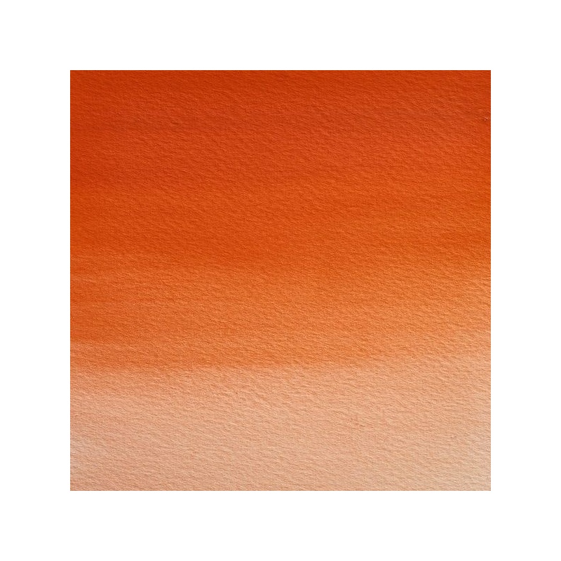 ORANGE DE FIELD