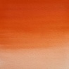 ORANGE DE FIELD