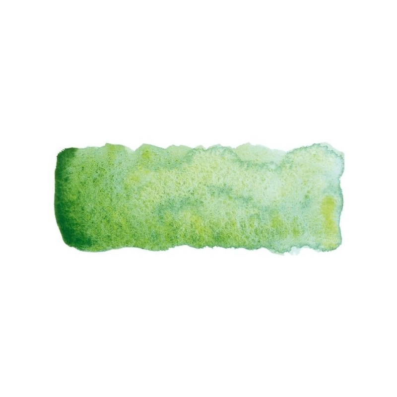 VERT PLAINE