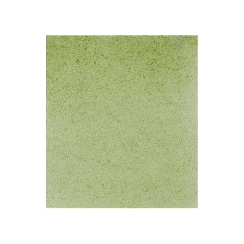 TERRE VERTE