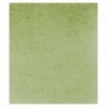 TERRE VERTE