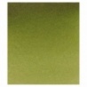 VERT OLIVE JAUNATRE