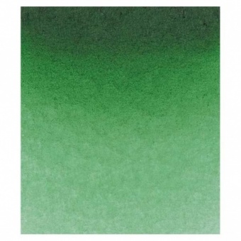 VERT PERMANENT OLIVE