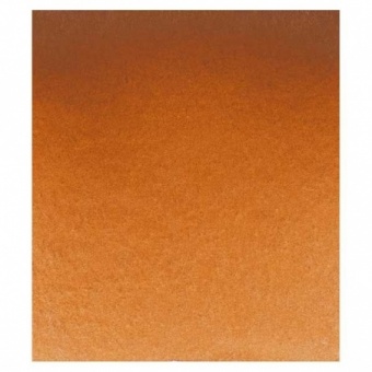 BRUN DE SPINEL