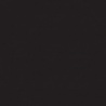 NOIR TEINTE D