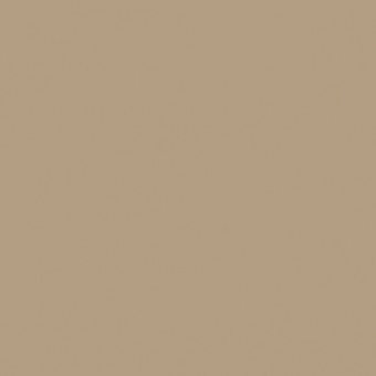 BRUN SEPIA TEINTE M