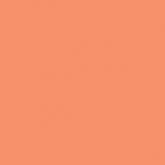 ROUGE PERM 1 CLAIR TEINTE H