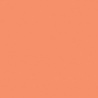 ROUGE PERM 1 CLAIR TEINTE H