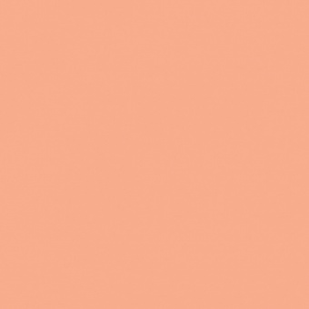ROUGE PERM 1 CLAIR TEINTE M