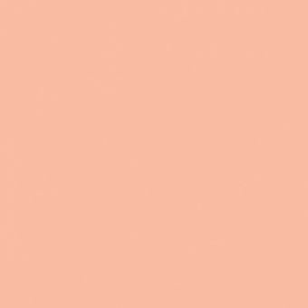 ROUGE PERM 1 CLAIR TEINTE O