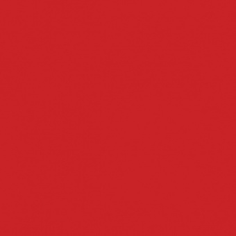 ROUGE CARMINE TEINTE D