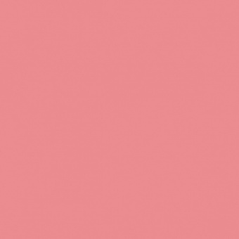 ROUGE CARMINE TEINTE M