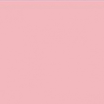 ROUGE CARMINE TEINTE O