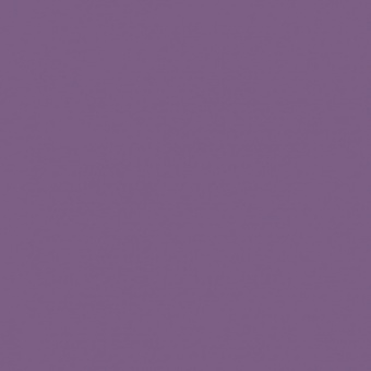 VIOLET MANGANESE TEINTE D