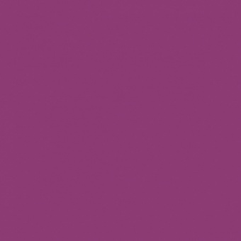 VIOLET ROUGE TEINTE D
