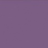 VIOLET ROUGEATRE FONCE TEINTE D