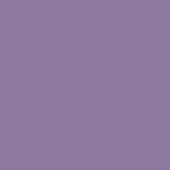 VIOLET ROUGEATRE TEINTE D